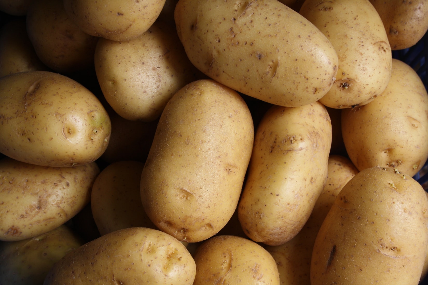 ¿Cuántas clases de patatas existen?